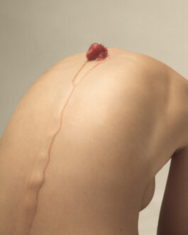 Physiotherapie Behandlung bei FERRA Physio+ in Innsbruck 